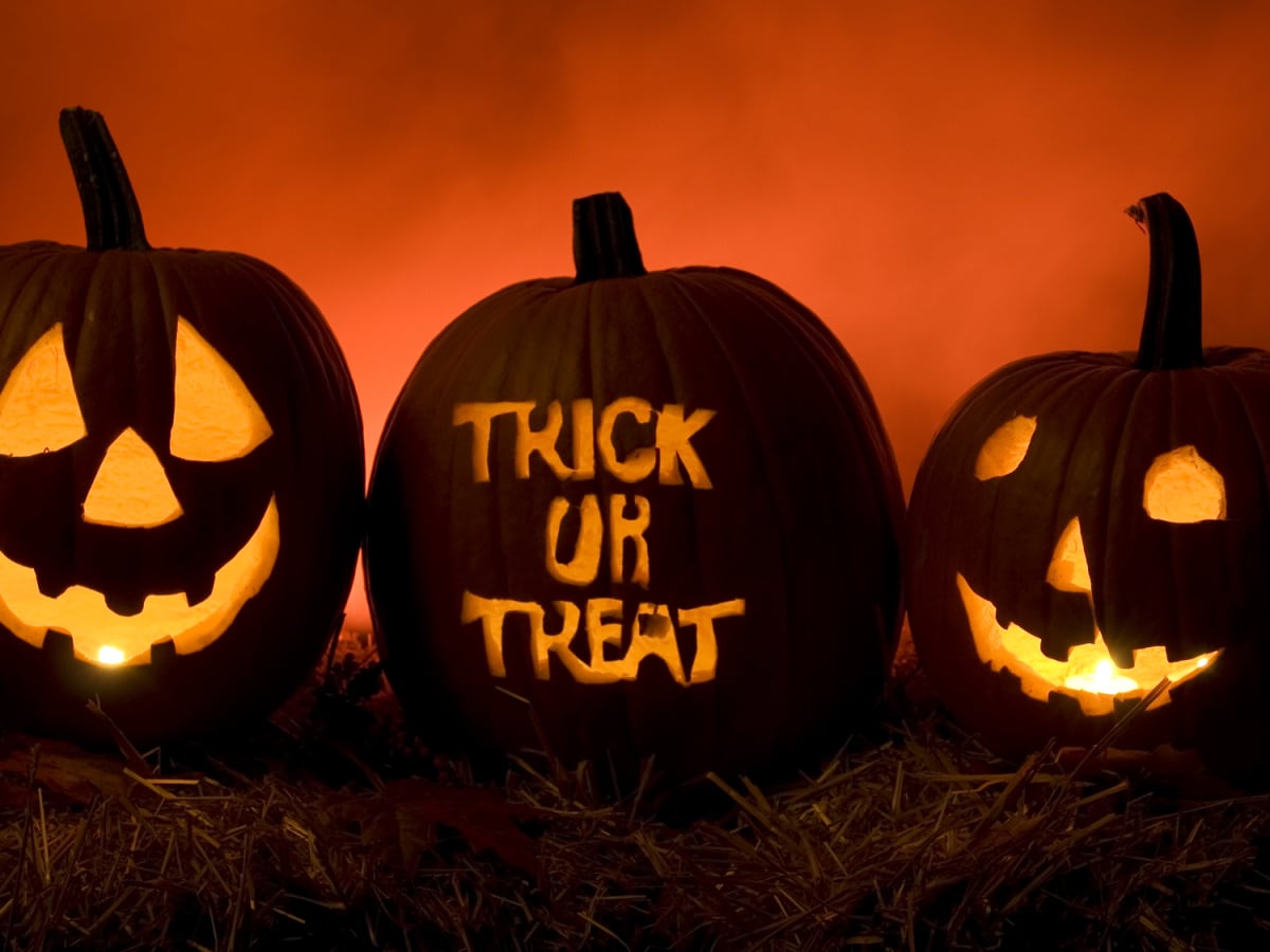 OPINION: Sickeningly Sweet Treats: Fact or Fiction?