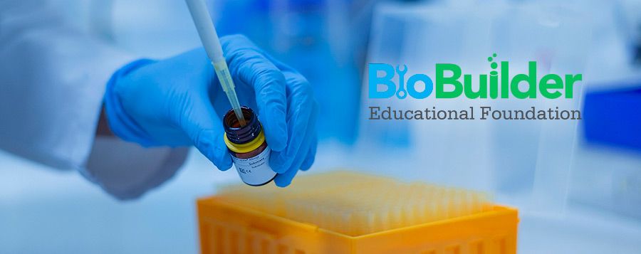 Student Researchers Explore Faster Depression Treatment through Neuroplasticity