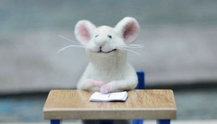 Recycling Reforms, Peppermint Pouches Help Curb AHS Mouse Problem